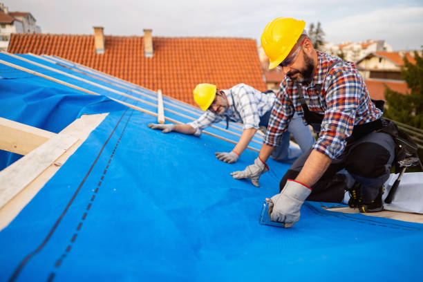 Best Roof Ventilation Installation  in Silver Lakes, CA